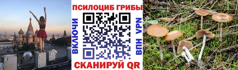 Псилоцибиновые грибы Cubensis  продажа наркотиков  Нязепетровск 
